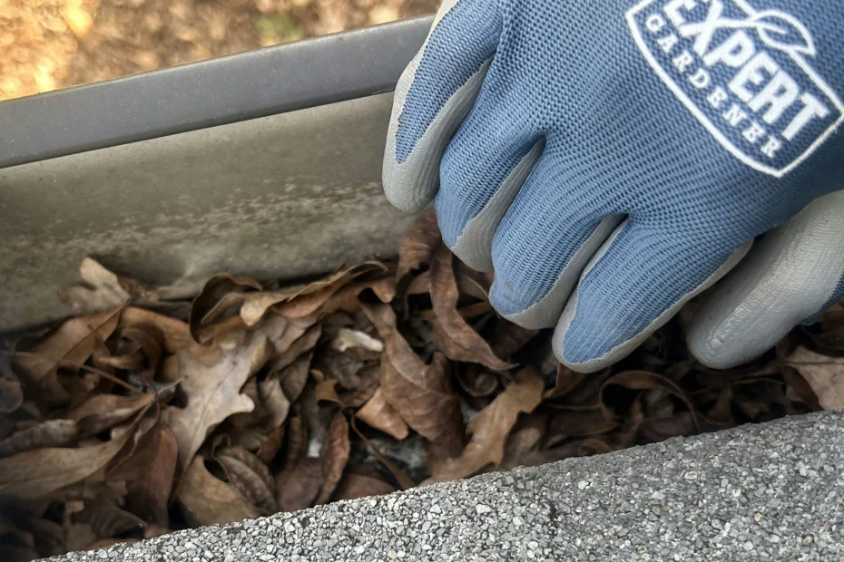 Gutter Cleaning Waynesville