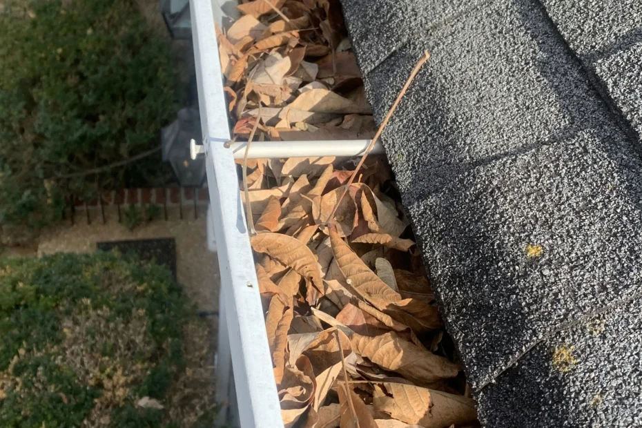 Gutter Cleaning Waynesville