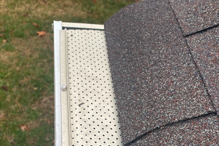 Gutter Cleaning Waynesville