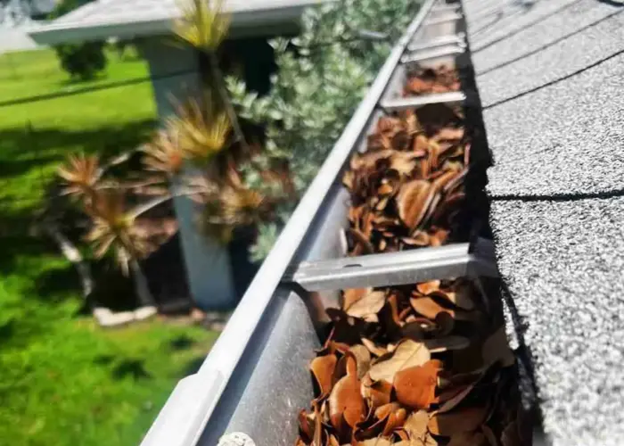 Gutter Cleaning Waynesville home page